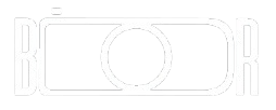 BDR_New_Logo_White_OG-removebg-preview